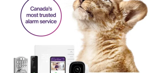 Smart Home Automation for Renters and Small Spaces: No Wires, No Hassle