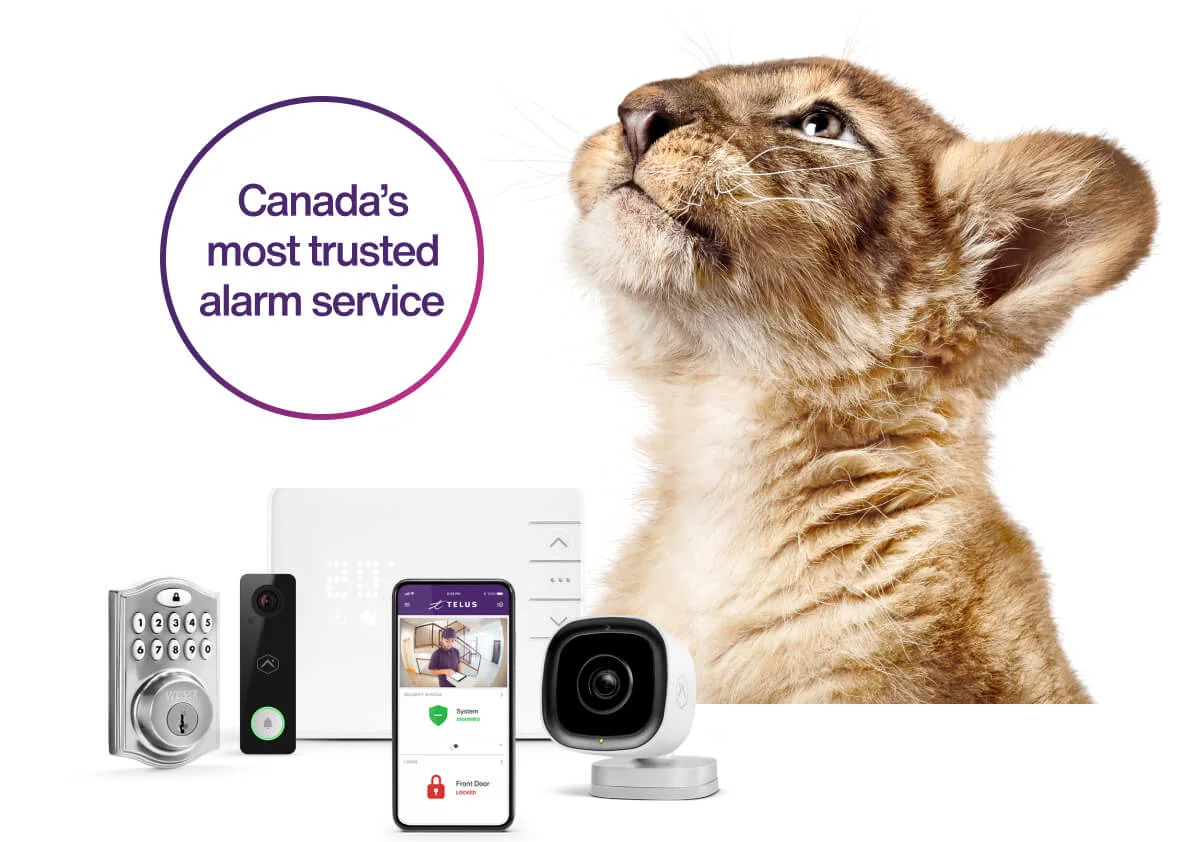 Smart Home Automation for Renters and Small Spaces: No Wires, No Hassle